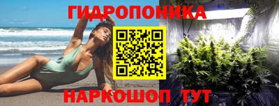 круглые Камышлов