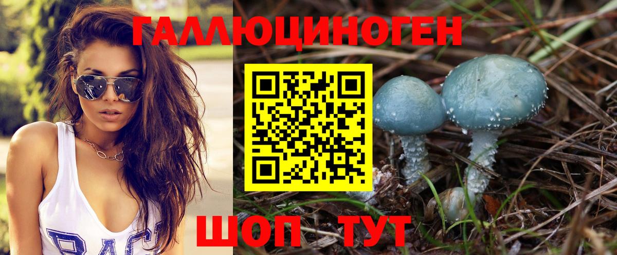 Псилоцибиновые грибы Psilocybine cubensis  Вход с VPN  сколько стоит  Псилоцибиновые грибы Magic Shrooms  Раменское 